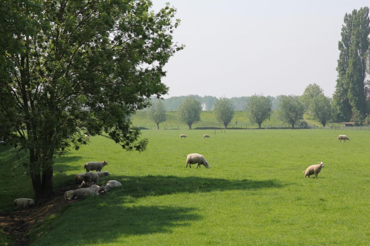 B&B Buitenwaard Oosterhout  エクステリア 写真