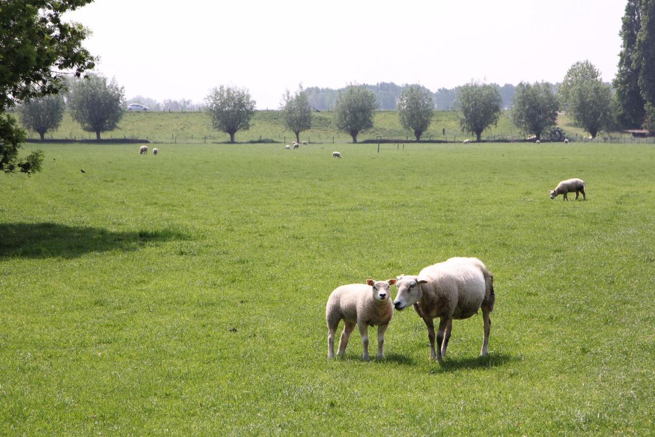 B&B Buitenwaard Oosterhout  エクステリア 写真